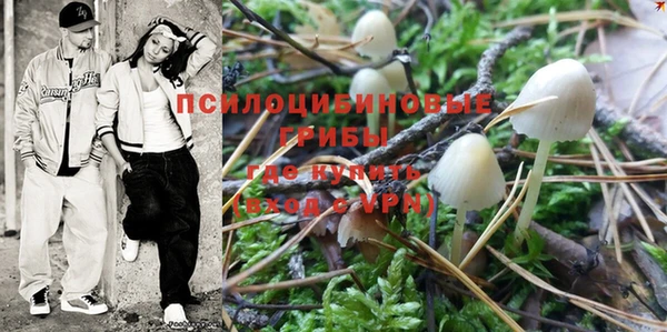 первитин Белоозёрский
