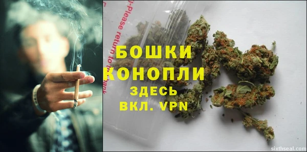 кокаин Белокуриха