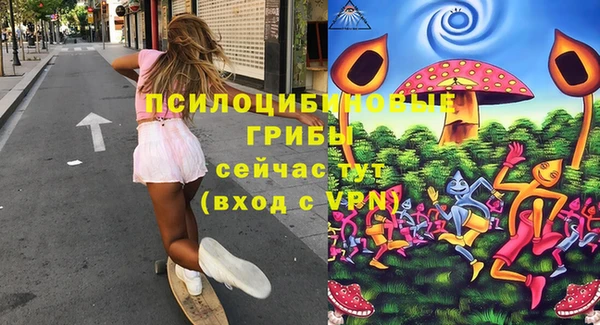 кокаин Белокуриха