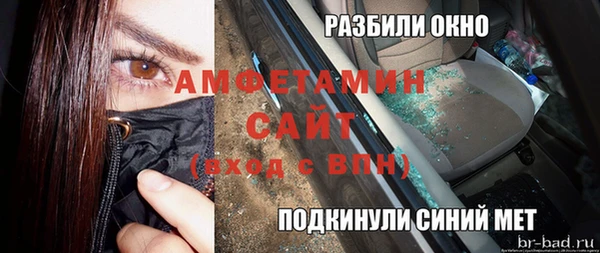 метадон Богданович