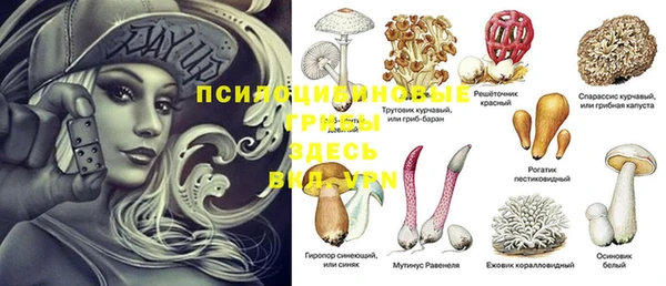 кокаин Белокуриха