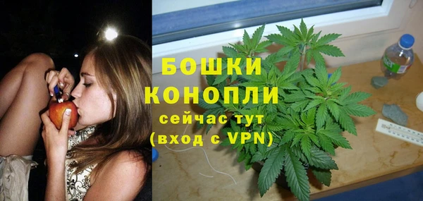 ALPHA PVP Богородицк