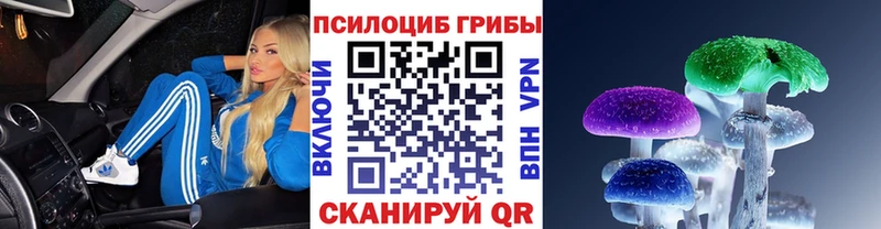 omg как войти Бор Галлюциногенные грибы Psilocybe